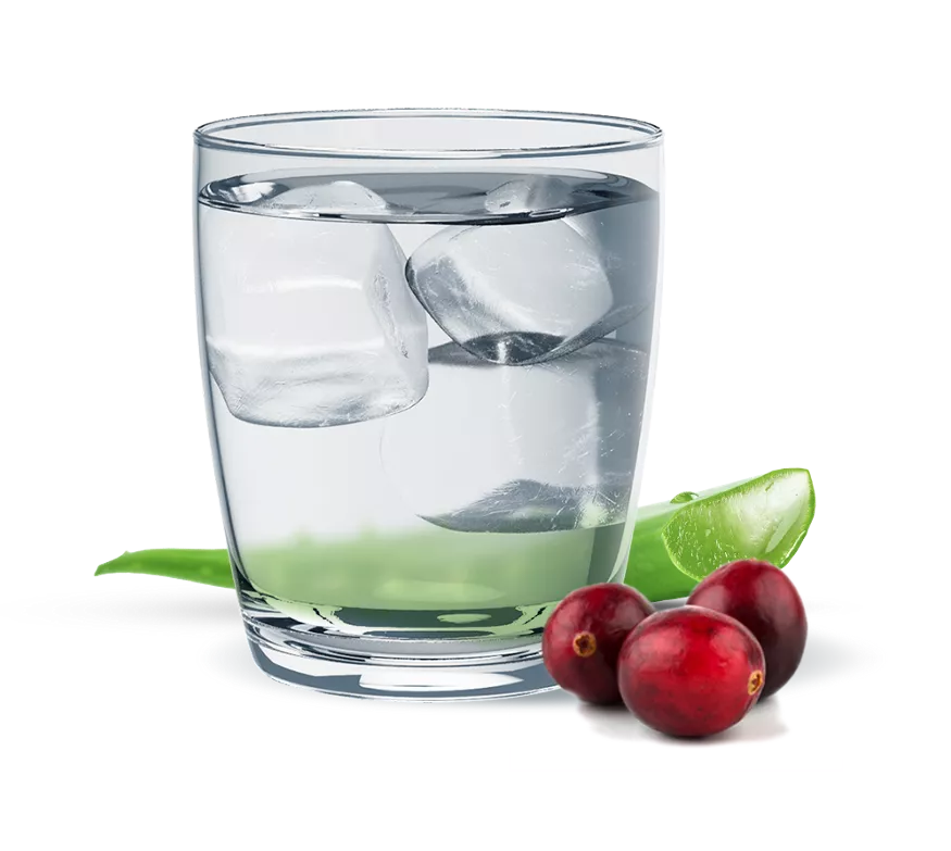 Herbal Aloe Concentrate: Cranberry