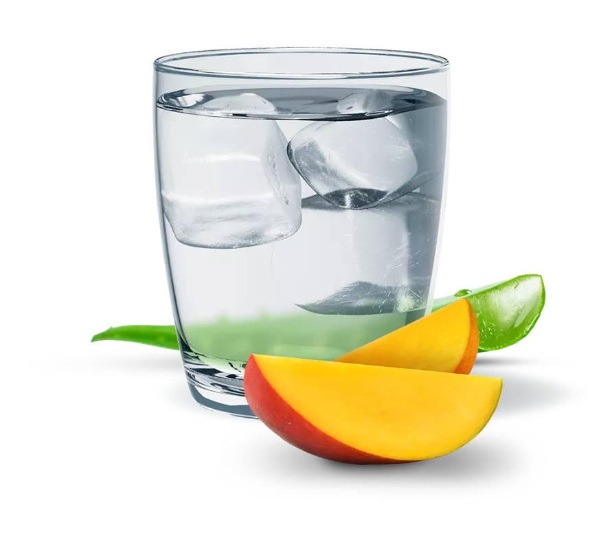 Herbal Aloe Concentrate: Mango