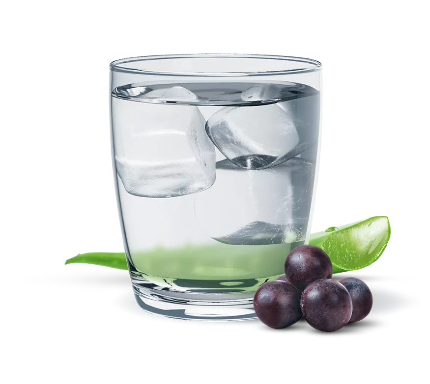 Herbal Aloe Concentrate: Grape